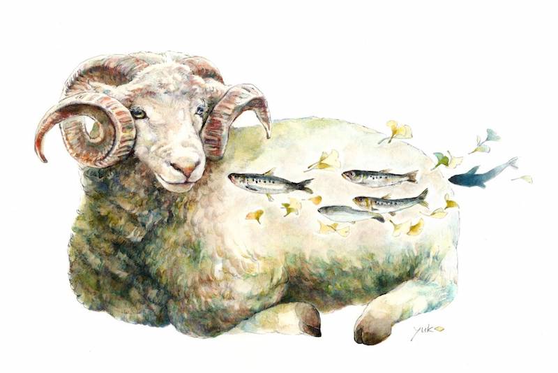 Yuko Tsuji - 秋の空