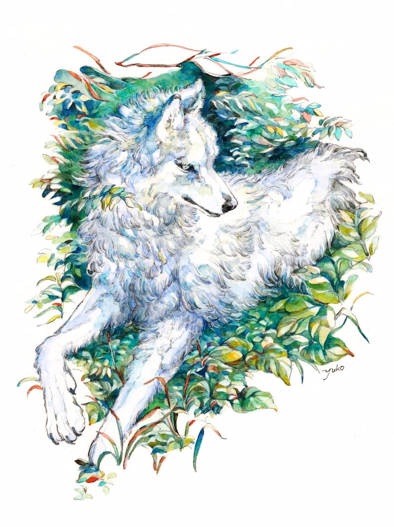 Yuko Tsuji - 蒼聖の森