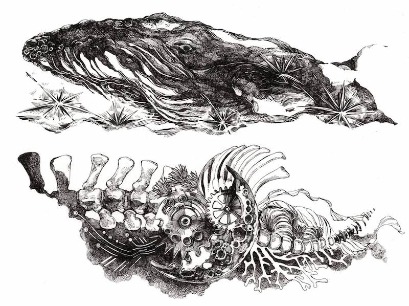 Yuko Tsuji - 星唄うクジラ