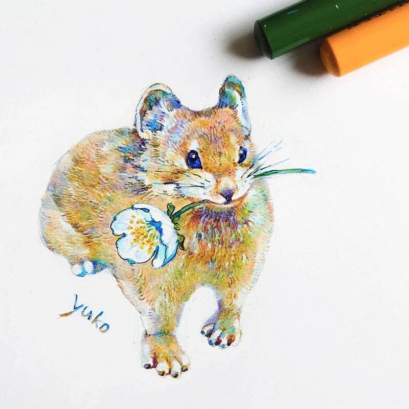 Yuko Tsuji - ナキウサギ