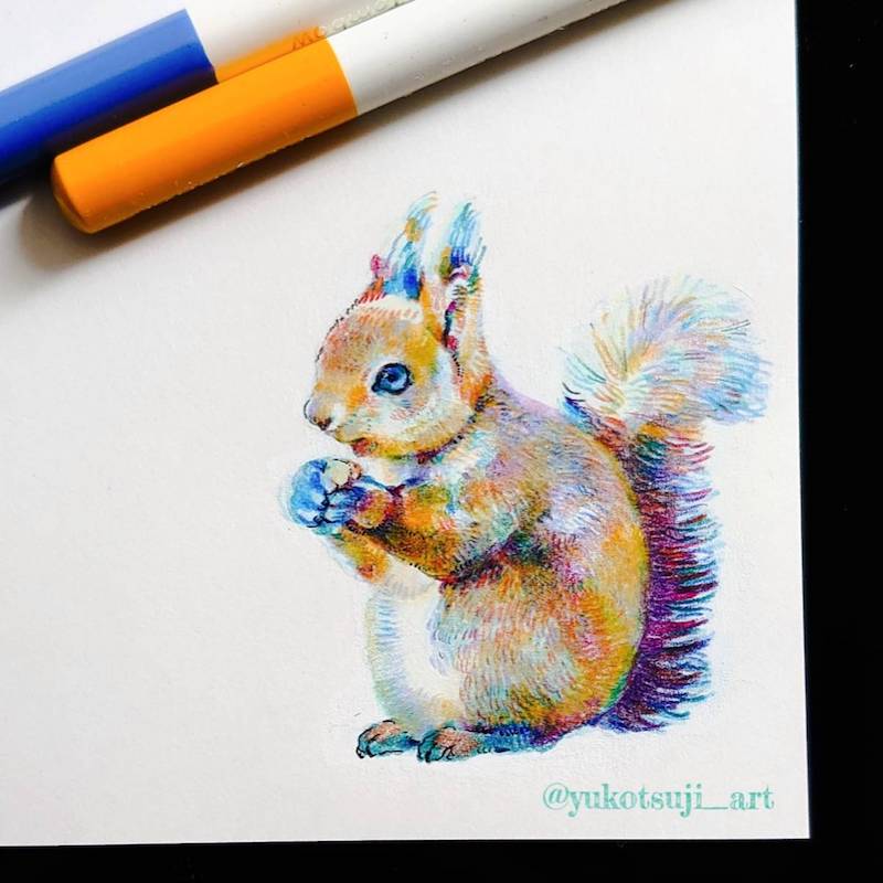 Yuko Tsuji - エゾリス